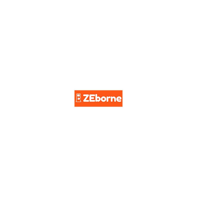 ZEborne image