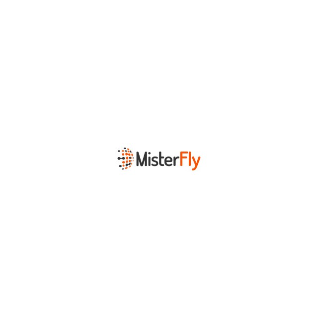 Misterfly image